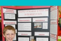 Science Fair Project Labels And Title Template  Upper Elementary throughout Science Fair Labels Templates