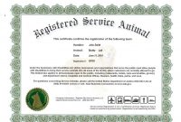Service Dog Certificate Template Frightening Ideas Training Id in Service Dog Certificate Template