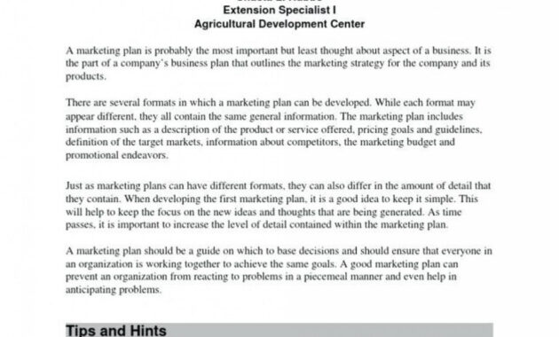 Shocking Farm Business Plan Template Pdf Templates Small Example Pig intended for Agriculture Business Plan Template Free