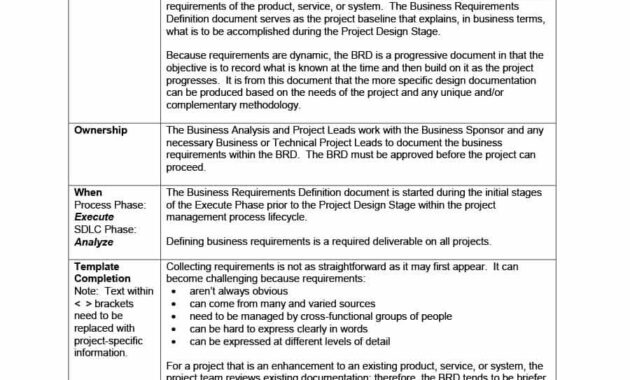Simple Business Requirements Document Templates ᐅ Template Lab with Business Requirements Definition Template