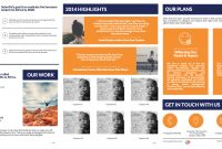 Templates Black Friday Poster And Annual Report For Ngo  Report with regard to Ngo Brochure Templates