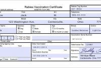 Usda Aphis  Travel Documentation  Rabies Vaccination Certificate with Rabies Vaccine Certificate Template
