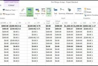 Using Microsoft Project Evm For Earned Value Management within Earned Value Report Template