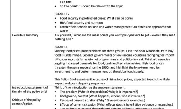 Professional Policy Proposal Templates  Examples ᐅ Template Lab pertaining to Policy Proposal Template